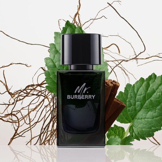 Mr. Burberry Eau de Parfum 100 ml flakonu və qutusu — eleqant və statuslu kişi ətri