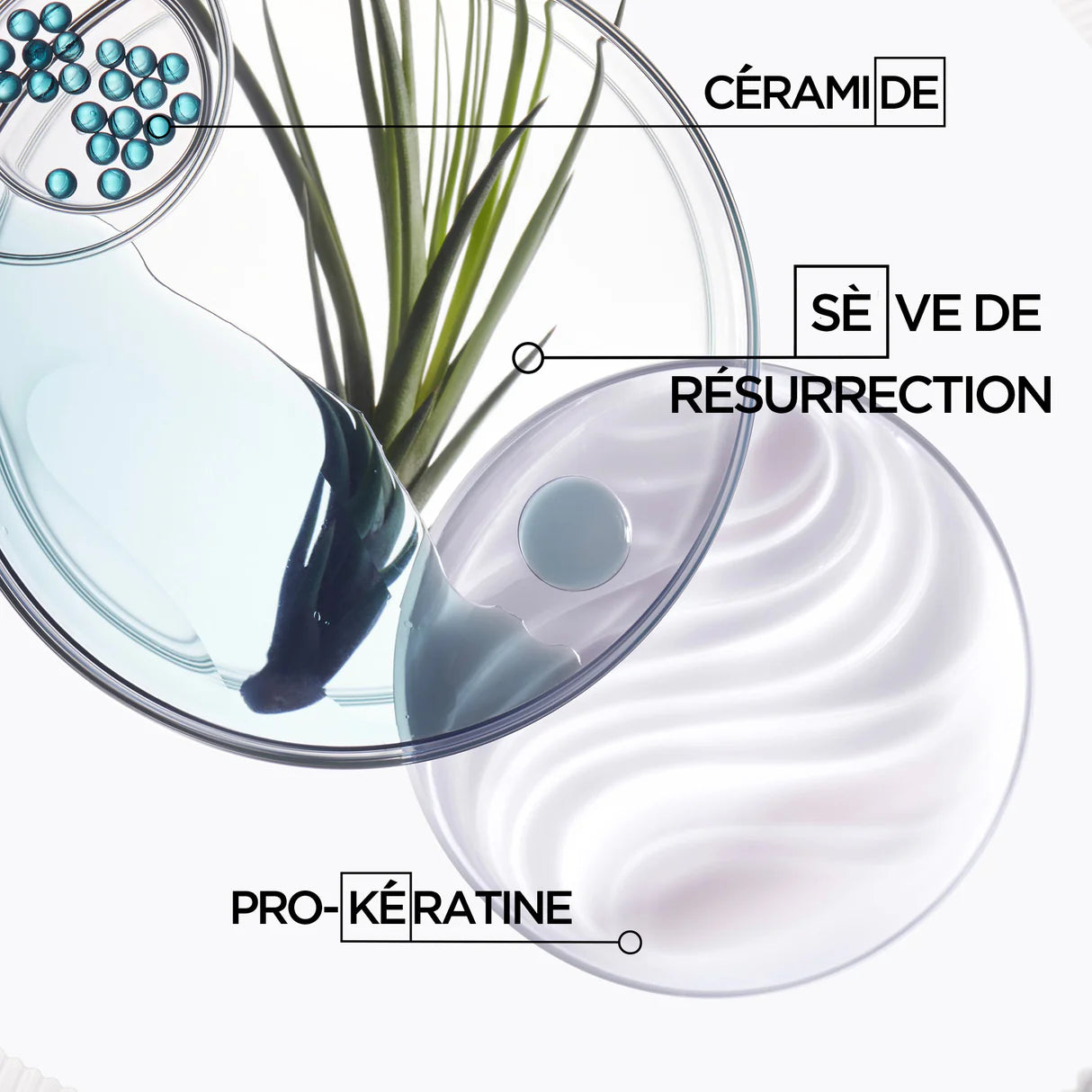 Kérastase Resistance Masque Force Architecte 200 мл – Маска для восстановления поврежденных и вьющихся волос